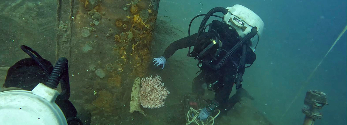 U.S. Navy divers assigned to Mobile Diving and Salvage Company 1-8, inspect the sunken cargo ship Micro Dawn in Weno Harbor, Chuuk, Federated States of Micronesia